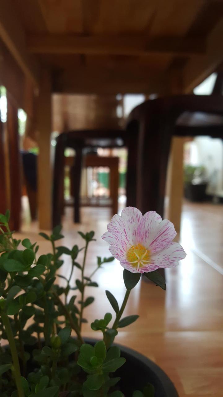 Ranga Villa Hikkaduwa Zewnętrze zdjęcie